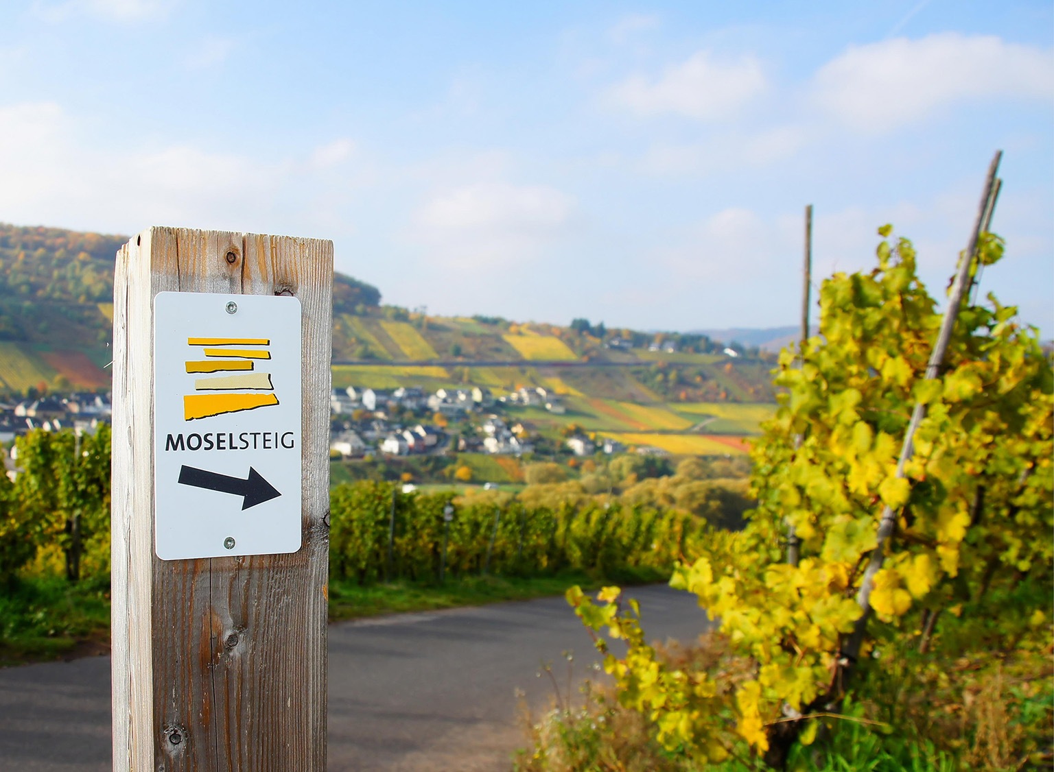 One of the signposts along the Moselsteig which winds through western Germany - photo 9