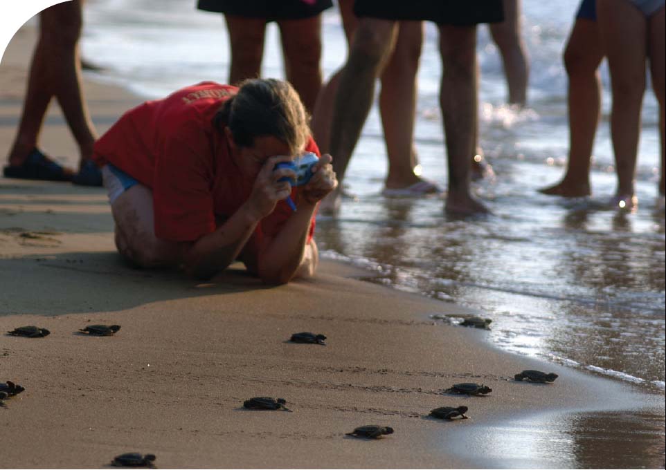 Nature and wildlife A dash for the sea North Cypriot beaches find favour with - photo 8