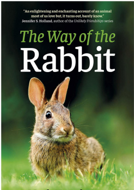 Mark Hawthorne The Way of the Rabbit