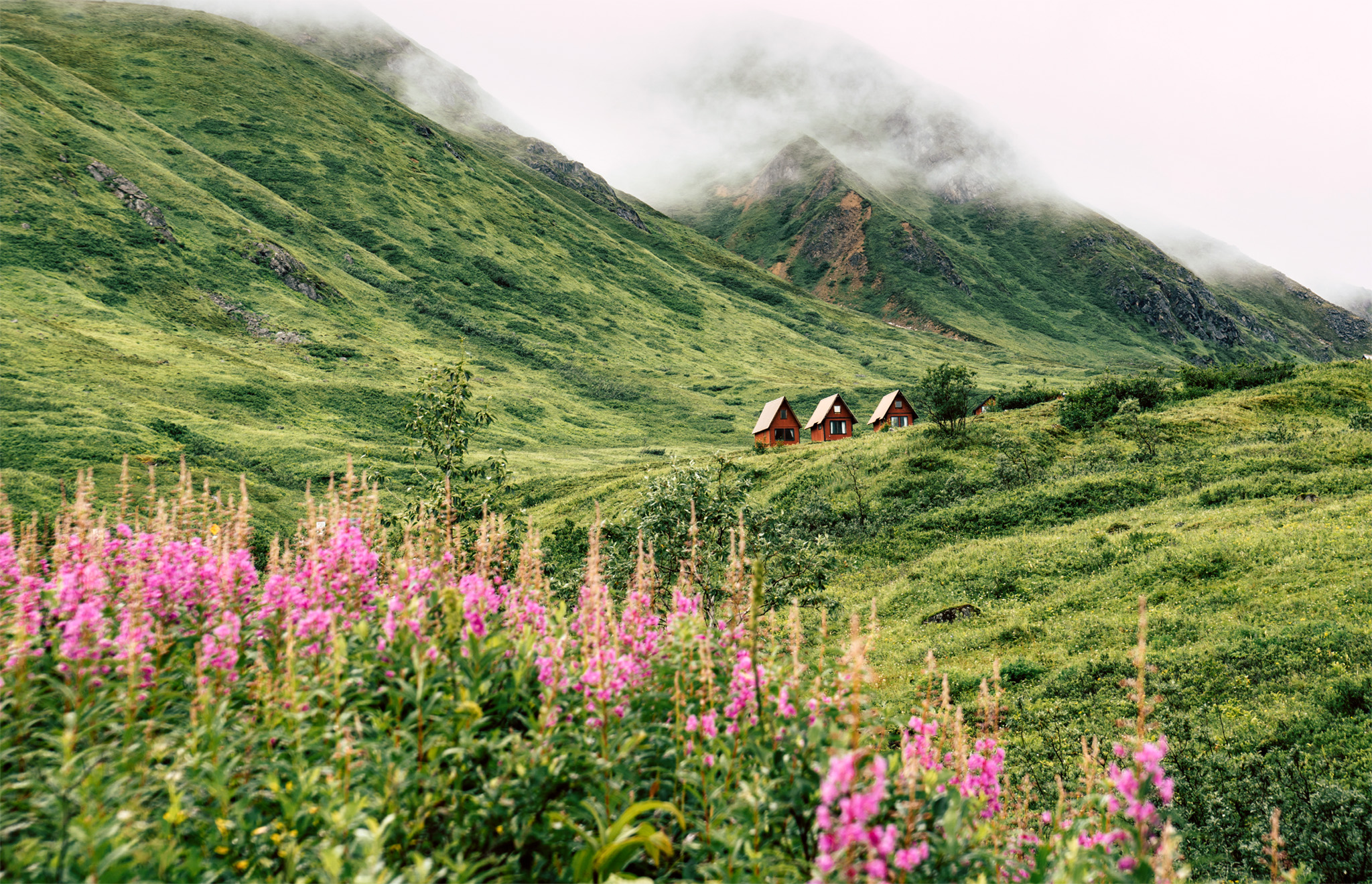 t The verdant mountains of Hatcher Pass Welcome to Alaska Reasons to Love - photo 4