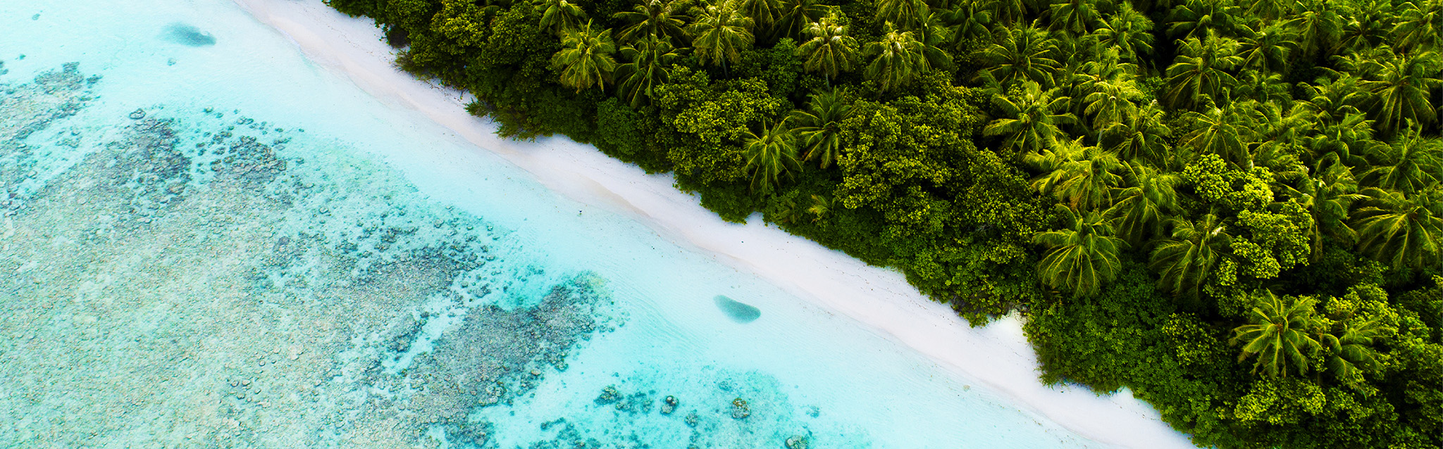 t A verdant shoreline along the island of Dhigurah the Maldives g - photo 4