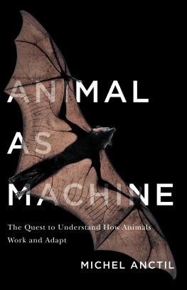 Anctil Michel Animal As Machine