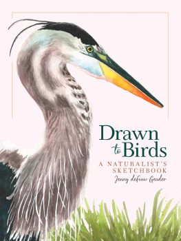 Jenny deFouw Geuder - Drawn to Birds: A Naturalists Sketchbook