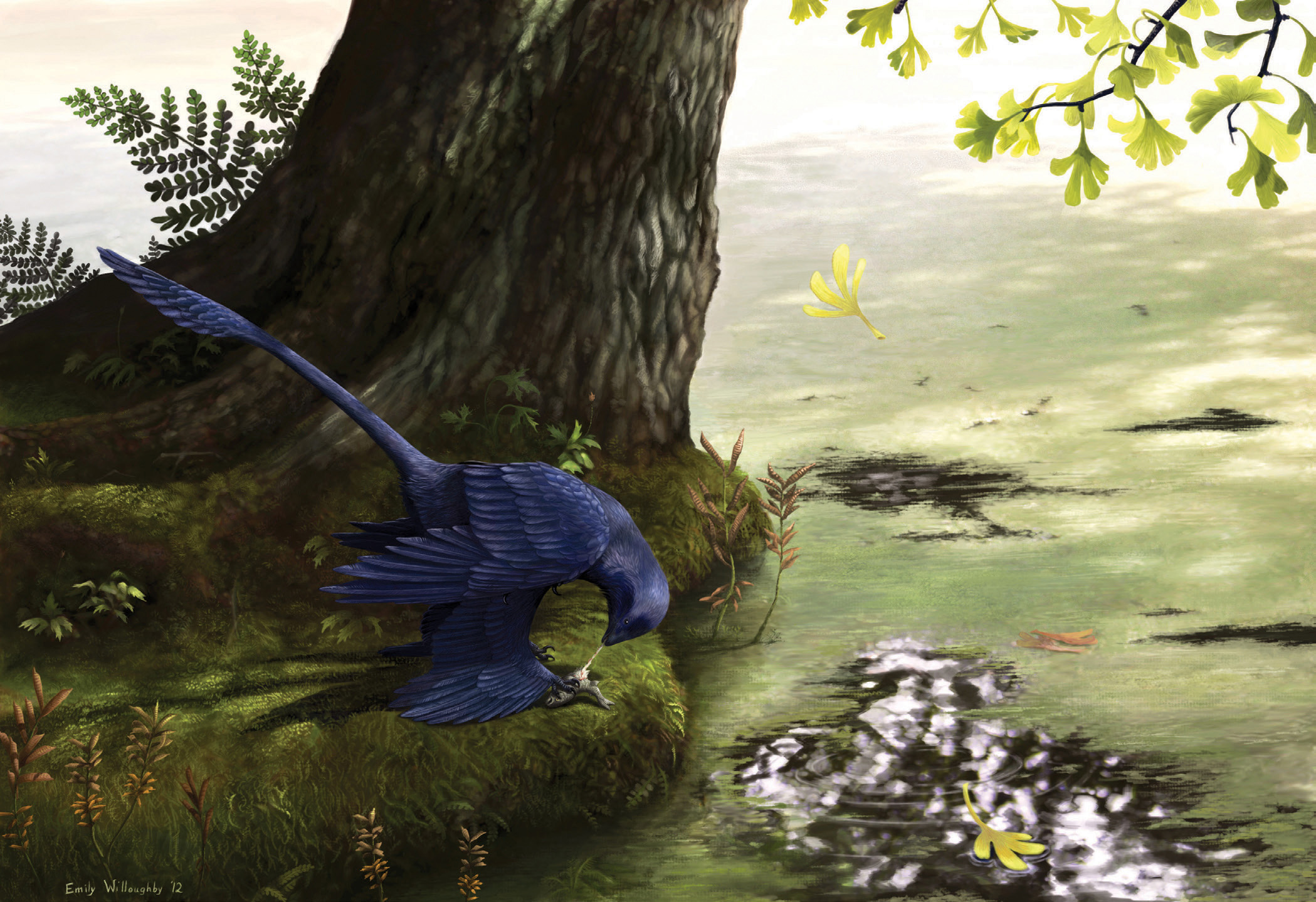 Fig 11 The Cretaceous dromaeosaur Microraptor gui restored eating a fish - photo 5