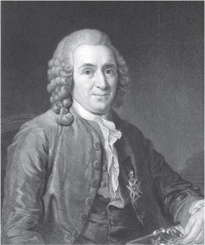 Carl Linnaeus the godfather of taxonomy Until the early 21st century - photo 7