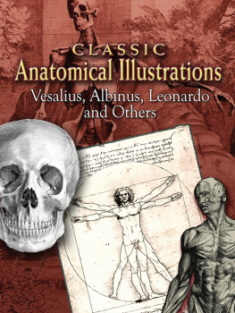 Unknown Classic Anatomical Illustrations: Vesalius, Albinus, Leonardo, and Others