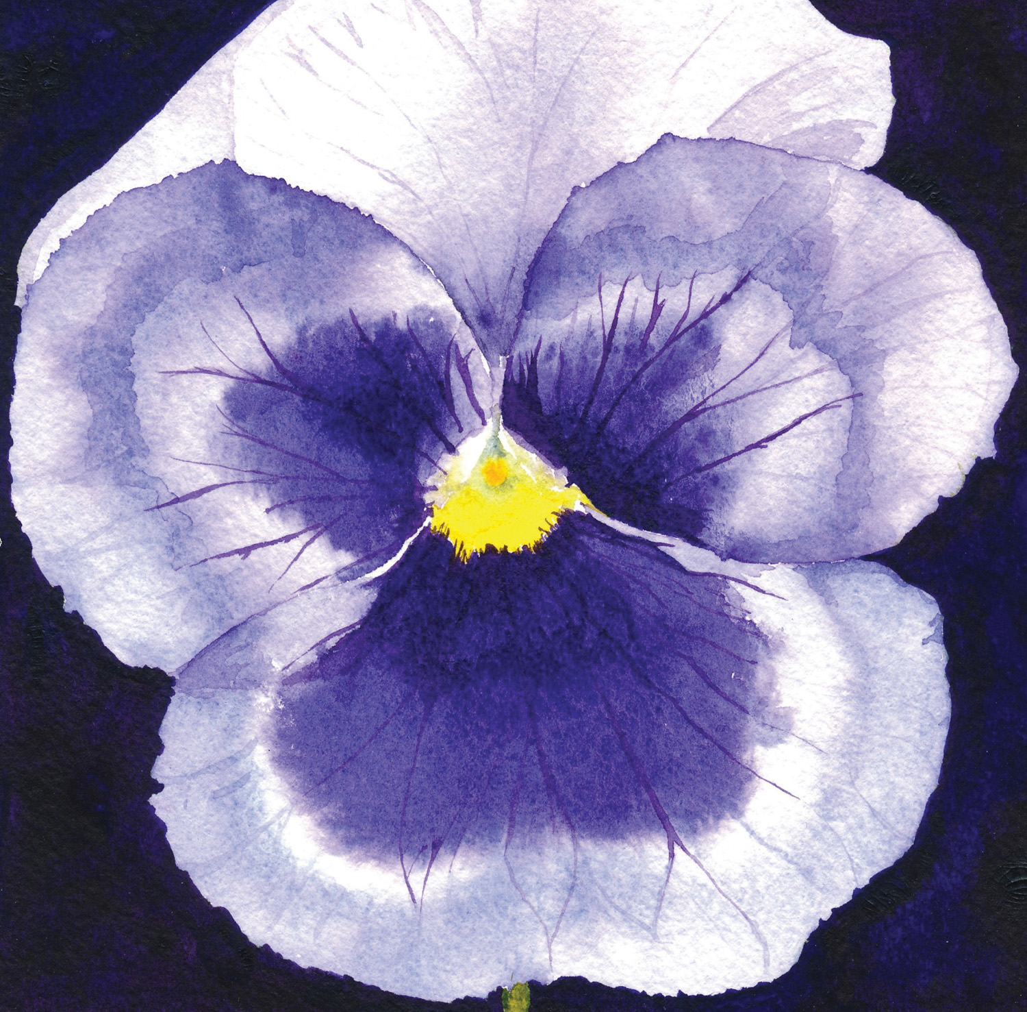 The Purple Pansy a life changing painting Like many artists I can genuinely - photo 5