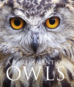 Mike Unwin - A Parliament of Owls