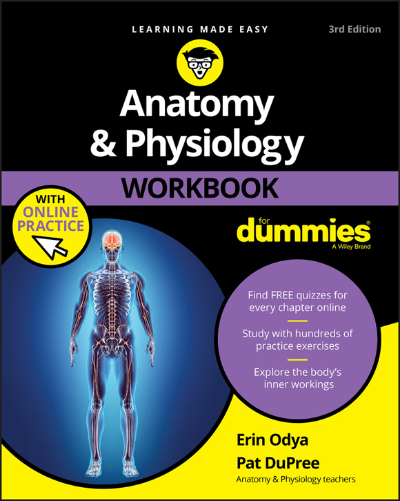 Anatomy Physiology Workbook For Dummies 3rd Edition with Online Practice - photo 1