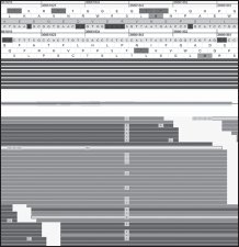 EDITED BY STUART M BROWN NEXT-GENERATION DNA SEQUENCING INFORMATICS All - photo 1