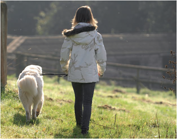 Orsa and Naomi training dogs is not rocket science It is great fun extremely - photo 5