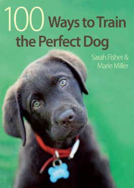 Sarah Fisher - 100 Ways To Train A Perfect Dog