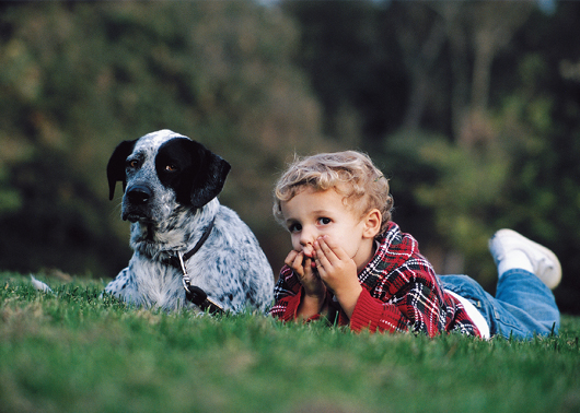 Barking Up the Family Tree Kids and Their Animal Kinships - image 16