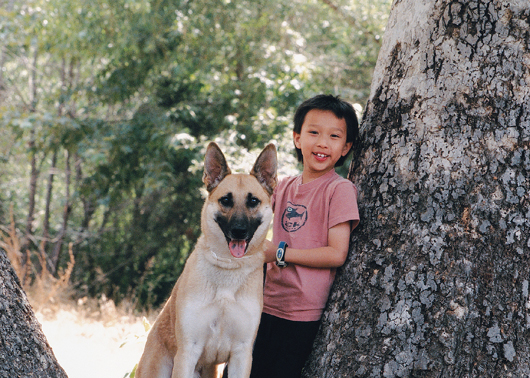 Barking Up the Family Tree Kids and Their Animal Kinships - image 19