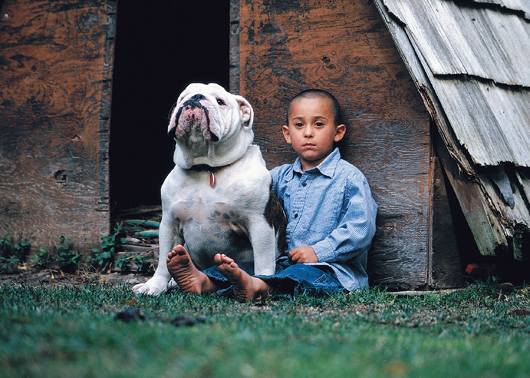 Barking Up the Family Tree Kids and Their Animal Kinships - image 4