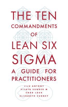 Jiju Antony The ten commandments of lean six sigma : a guide for practitioners