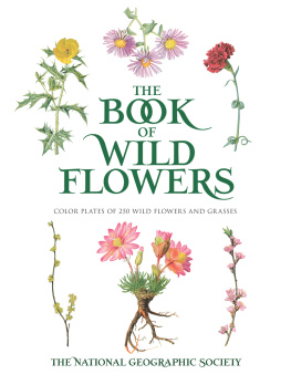 The National Geographic Society The Book of Wild Flowers: Color Plates of 250 Wild Flowers and Grasses