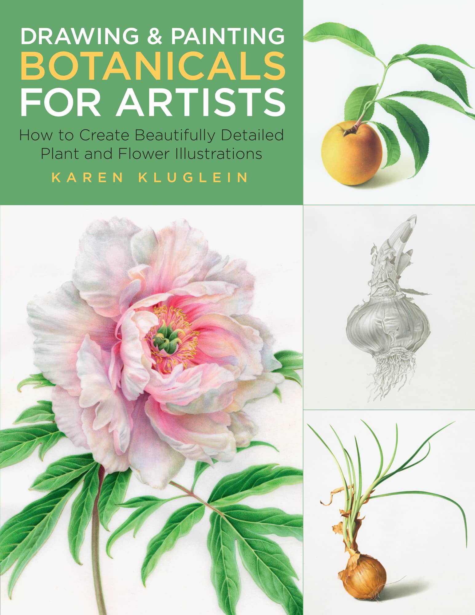 DRAWING PAINTING BOTANICALS FOR ARTISTS How to Create Beautifully Detailed - photo 1