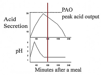 Figure Secretion of gastric acid during fed states Why does the pH initially - photo 7