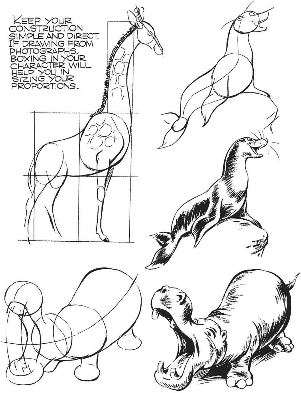 PRACTICE ANIMALS SIMPLIFIED APPROACH ANIMAL HEADS - photo 29