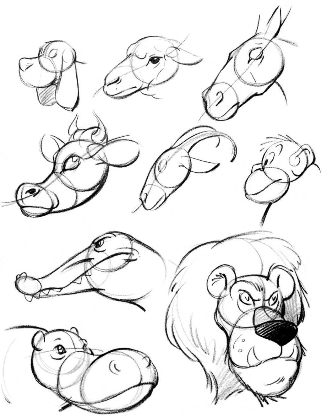 PRACTICE ANIMAL HEADS ANIMALS LINE of ACTION PRACTICE ANIMALS LINE of - photo 34