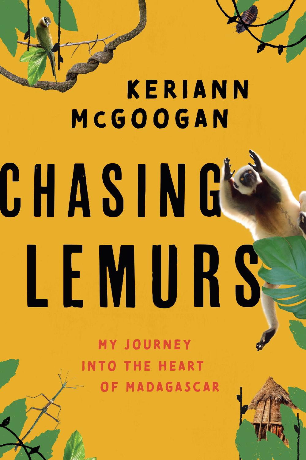 Chasing Lemurs My Journey into the Heart of Madagascar Keriann McGoogan - photo 1