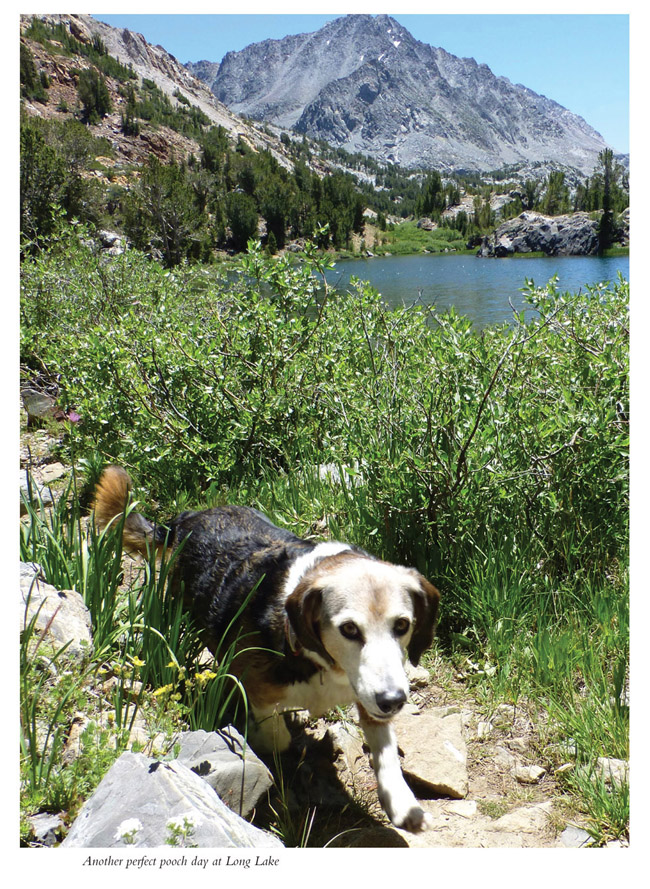 Best Dog Hikes Southern California - image 2