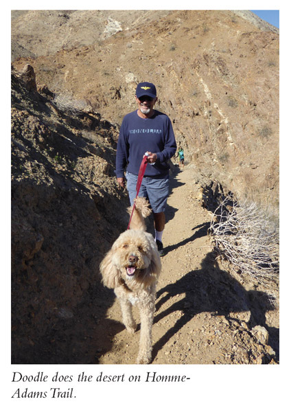 As dog owners and dog-loving hikers the health and safety of four-legged furry - photo 6