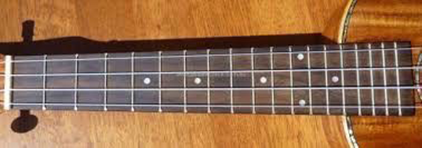 Fretboard A plank of wood attached to the neck in which the frets are - photo 5