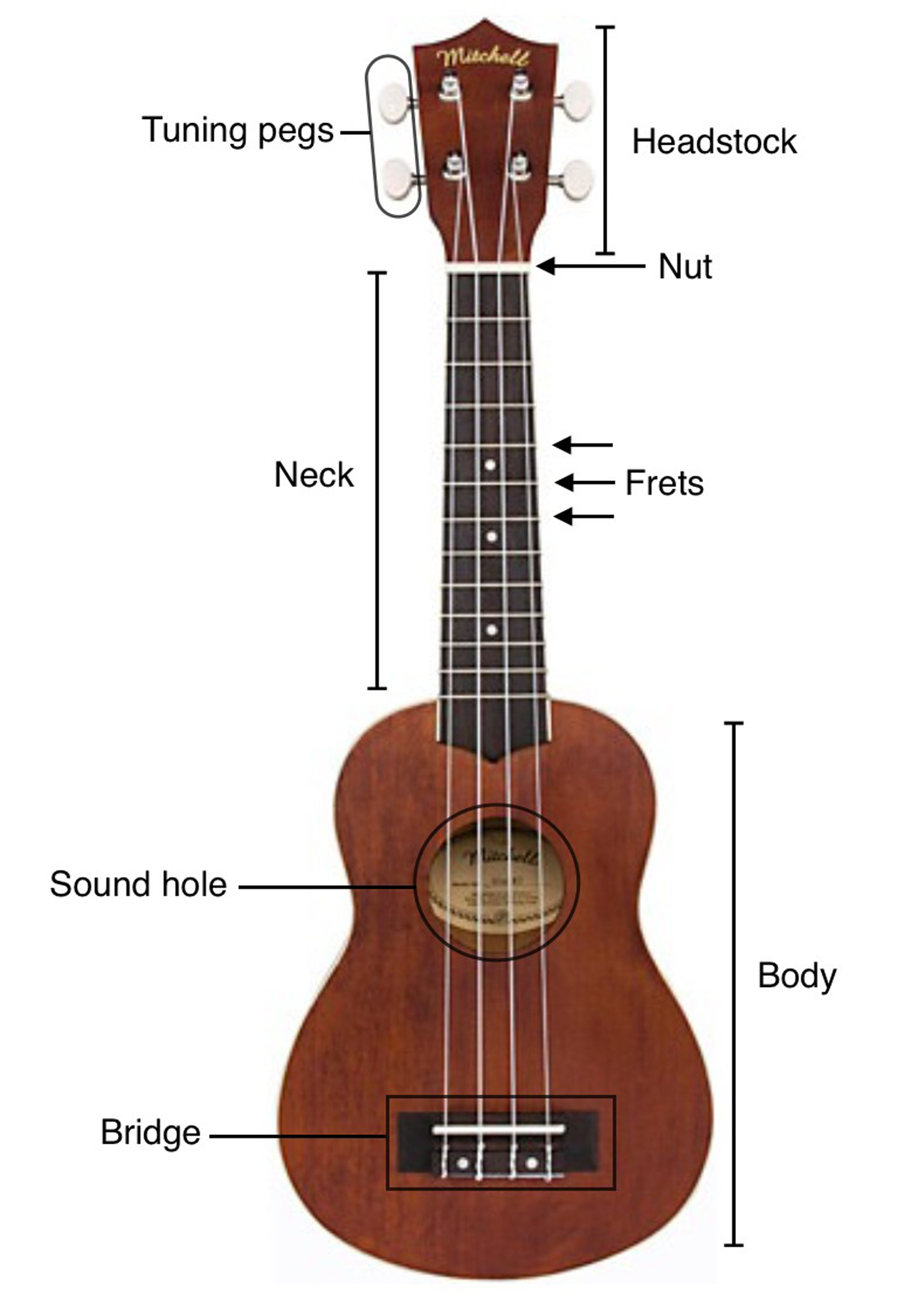 Body This is the largest section of the uke and is responsible for the - photo 2