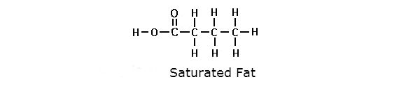 Figure 10 Saturated Fat The chemical difference between saturated and - photo 1