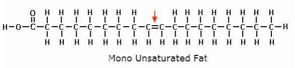 Figure 11 Monounsatured Fat Monounsaturated fats are composed of a chain - photo 2