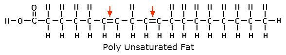 Figure 12 Polyunsatured Fat Polyunsaturated fats have two or more double - photo 3