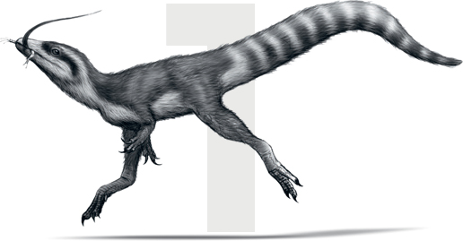 An Early Cretaceous theropod The discovery of a feathered specimen in 1996 - photo 5