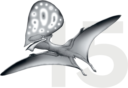 An Early Cretaceous pterodactlyoid pterosaur with a distinctive and colourful - photo 19