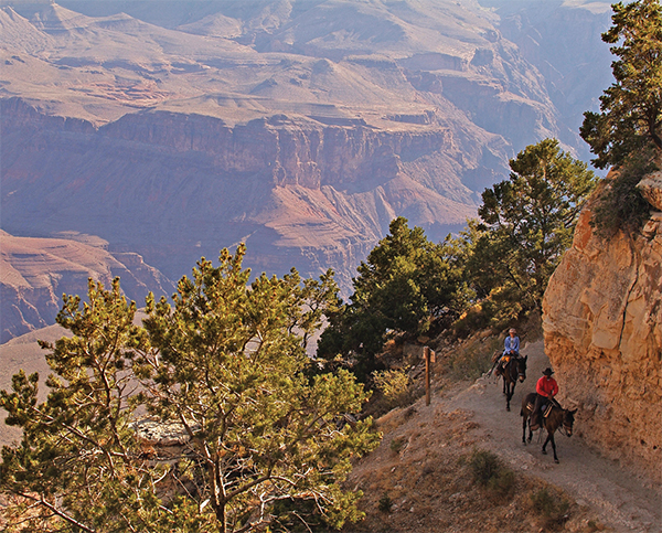 TABLE OF CONTENTS Great American Horse Drive Craig Colorado R IDE T - photo 3