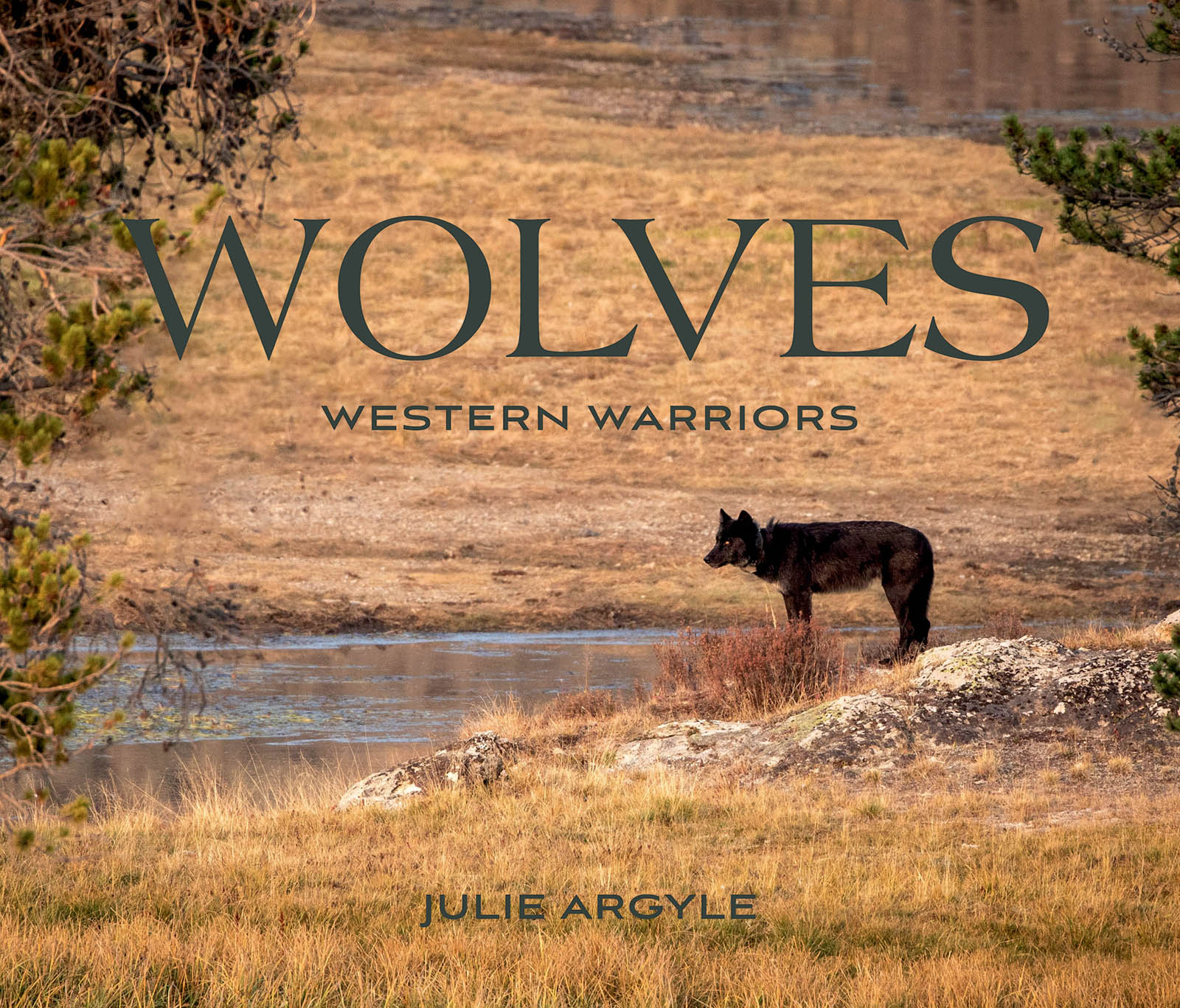 wolves Western Warriors Julie Argyle - photo 1