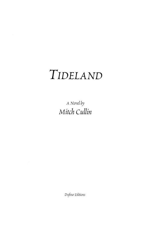 Tideland - photo 1