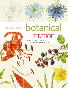 Valerie Price - Botanical Illustration: The Next Ten Lessons: Colour and Composition