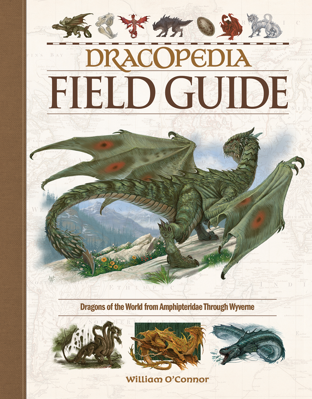 DRACOPEDIA FIELD GUIDE WILLIAM OCONNOR - photo 1