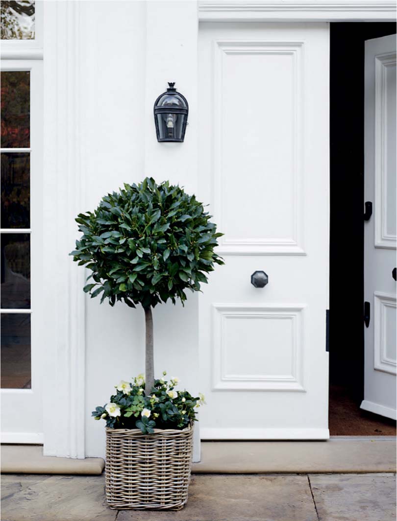 The double-sized front door painted a crisp white offers a warm welcome and - photo 5