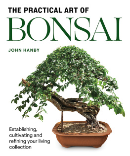 John Hanby Practical Art of Bonsai: Establishing, Cultivating and Refining Your Living Collection