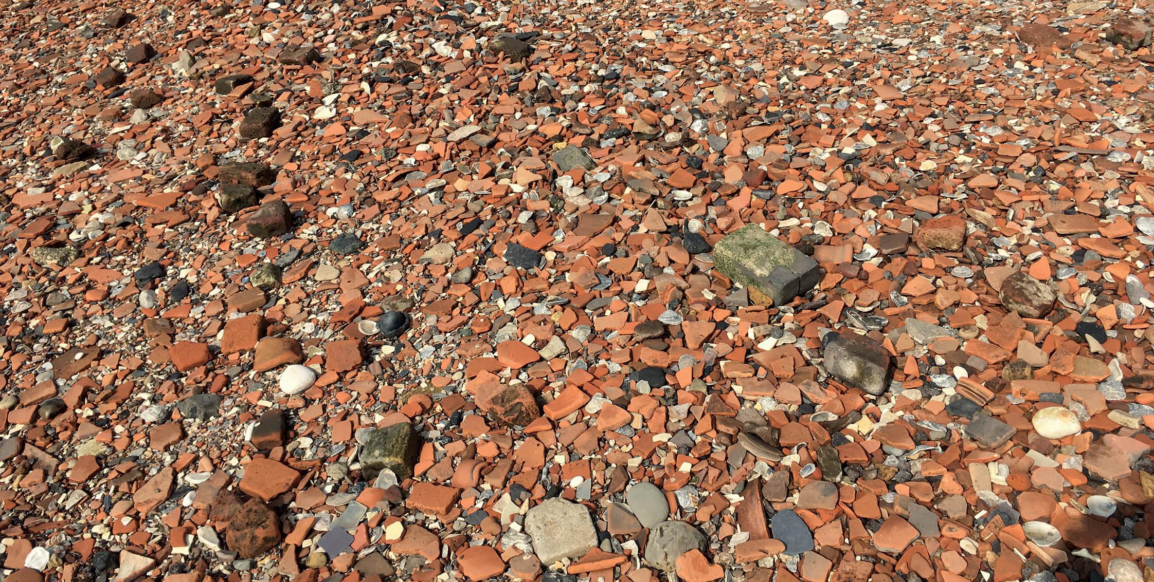 A close-up of the Thames foreshore Jason Sandy Because of its close - photo 5