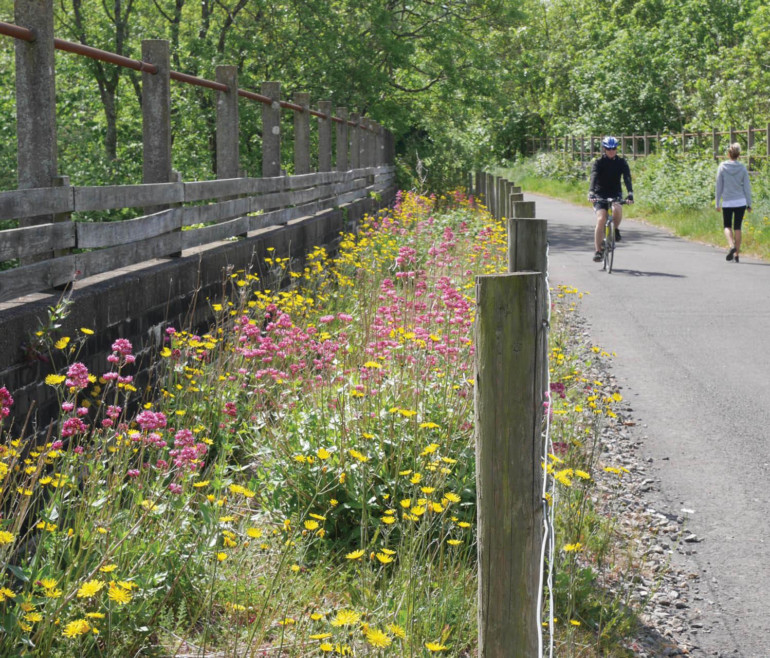 Lost railways have been reclaimed by nature and form vital green corridors for - photo 3