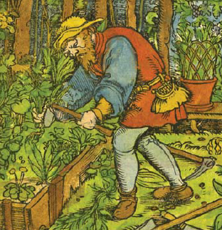 Detail from Adam Lonicers 1557 Krauterbuch of a plantsmans garden SHIRE - photo 1