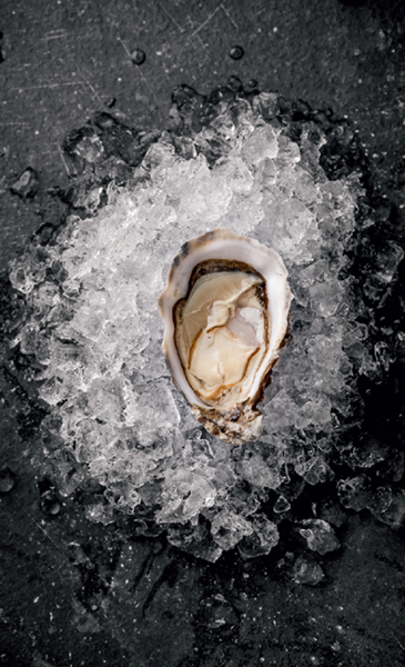 Oyster A Global History - image 3