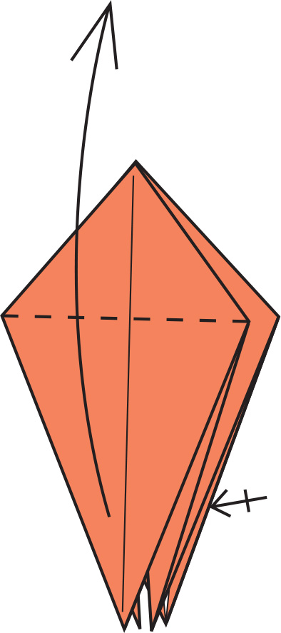 The front and back flaps should now be free Fold up the front flap Repeat - photo 6