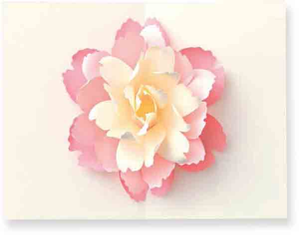 EMIKO YAMAMOTO POP-UP CARDS When you open up these pop-up cards a - photo 1