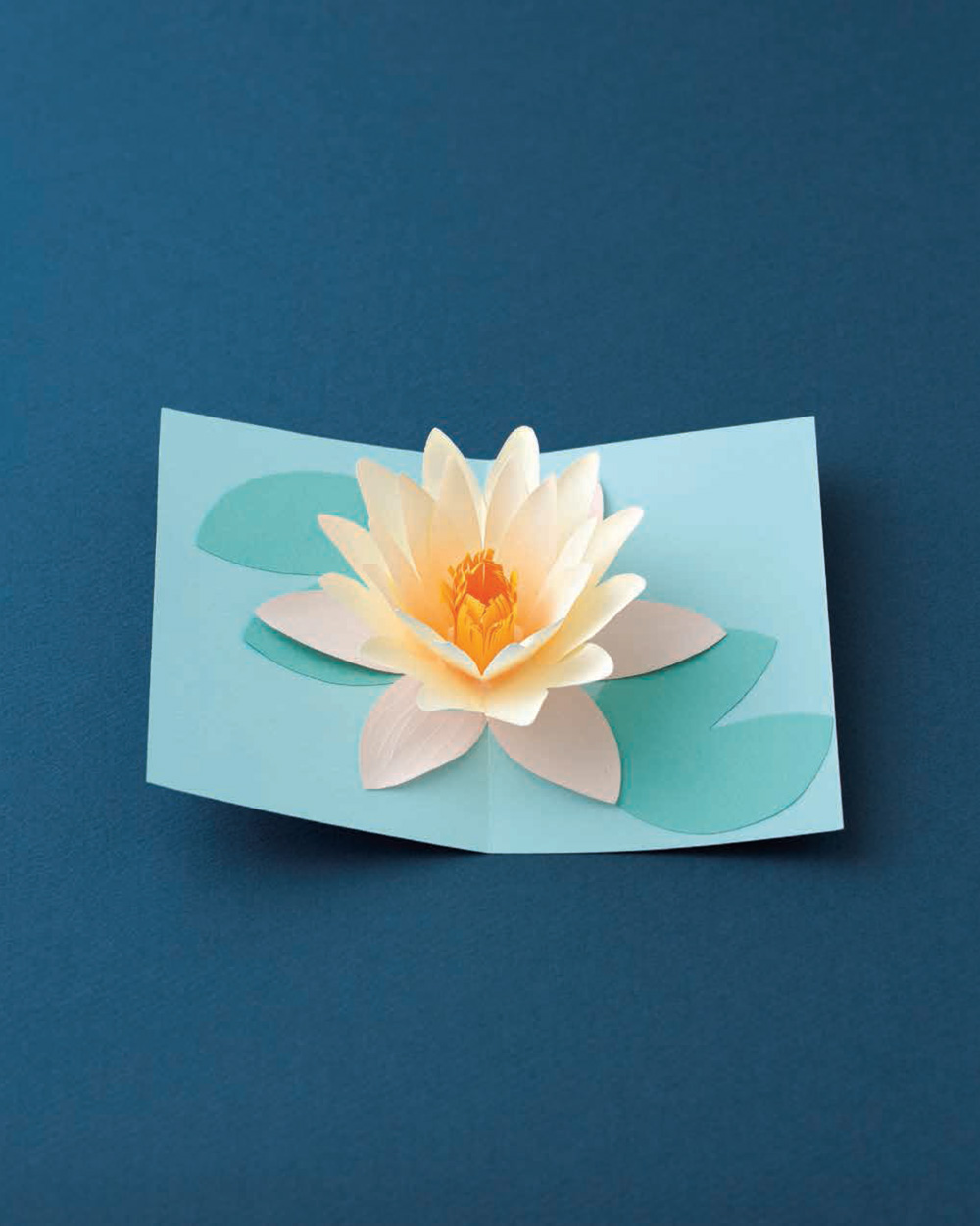 Gazing at this elegant flower really soothes the soul WATER LILY POP-UP CARD - photo 8