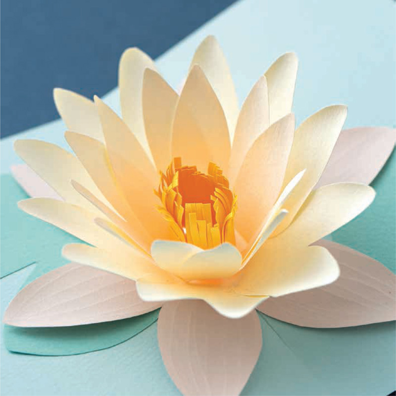 Gazing at this elegant flower really soothes the soul WATER LILY POP-UP CARD - photo 9